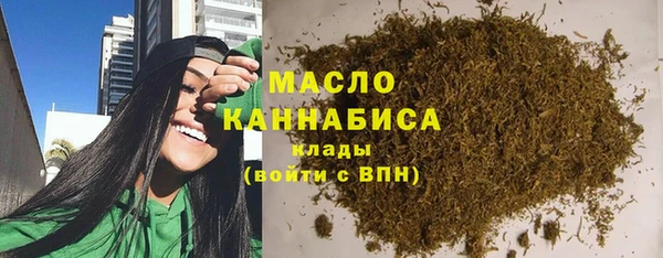 мдпв Гусев