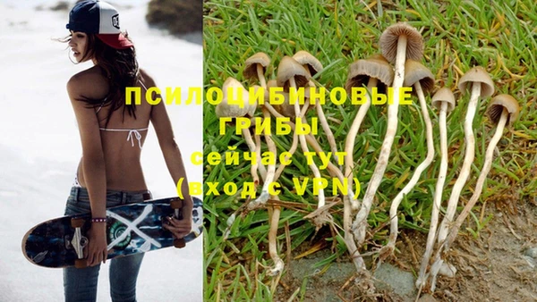 MDMA Горнозаводск